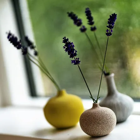 Hébergement de vacances Near Nature And Attractions On Helgenaes