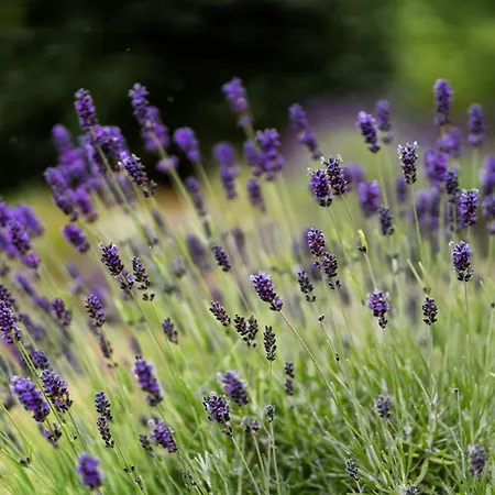 Prázdninový dům Near Nature And Attractions On Helgenaes