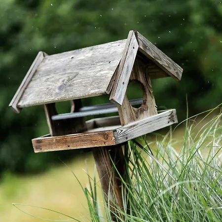 Near Nature And Attractions On Helgenaes Hébergement de vacances *