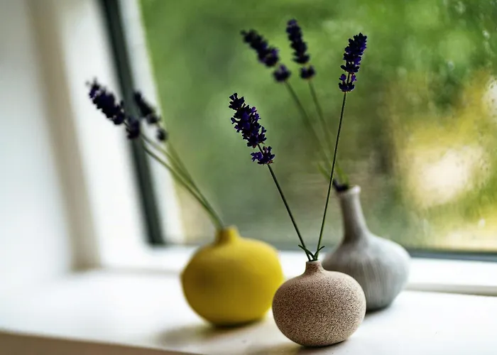 Ferienhaus Near Nature And Attractions On Helgenaes