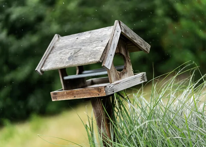 Near Nature And Attractions On Helgenaes Ferienhaus *