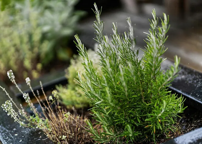 Ferienhaus Near Nature And Attractions On Helgenaes *